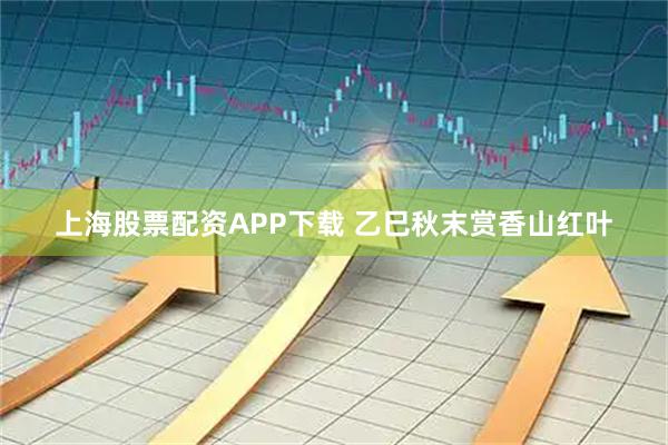上海股票配资APP下载 乙巳秋末赏香山红叶