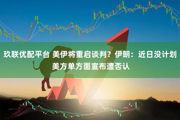 玖联优配平台 美伊将重启谈判？伊朗：近日没计划 美方单方面宣布遭否认
